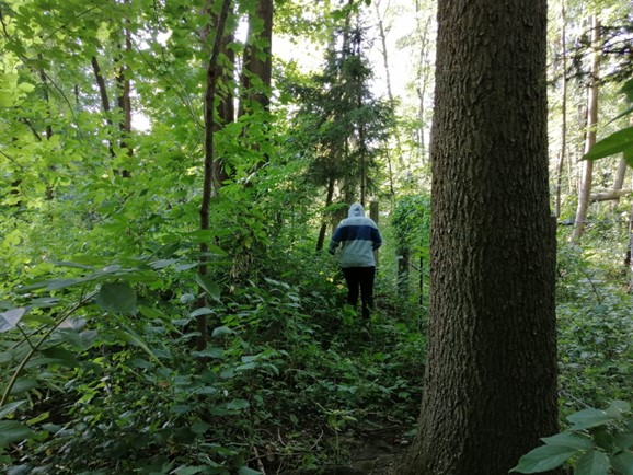 Wandern.jpg
